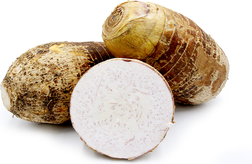 Taro Root