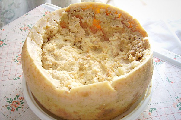 maggot-cheese-casu-marzu (1)