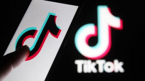 OPINION: Does TikTok Sway Your Thinking?