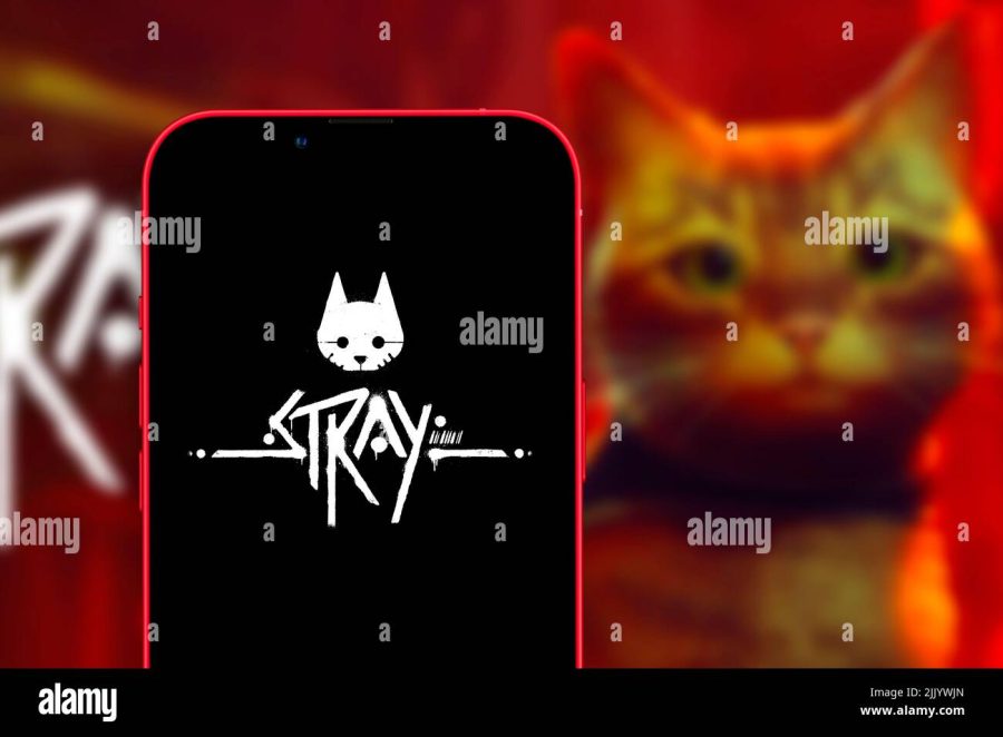 Stray: The Uprising Cat Game – OwlFeed, the cat game ps5 