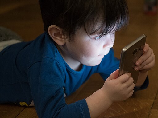 Little Boy On His Phone
Andi Graf, CC0, via Wikimedia Commons