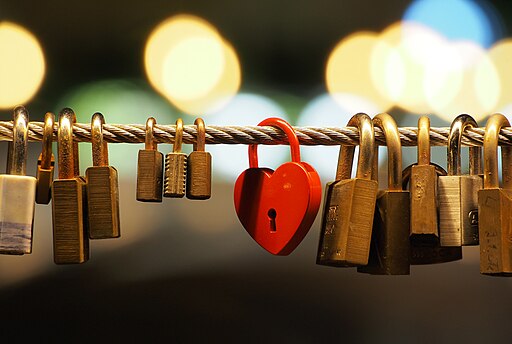 The Love padlocks on the Butchers' Bridge
Petar Milošević, CC BY-SA 4.0, via Wikimedia Commons