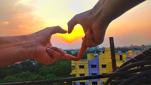 A love to Sun
Akash Debnath, CC BY-SA 4.0, via Wikimedia Commons