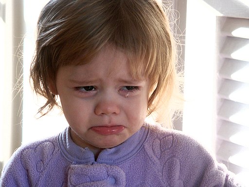 Crying Girl
Crimfants, CC BY-SA 2.0, via Wikimedia Commons