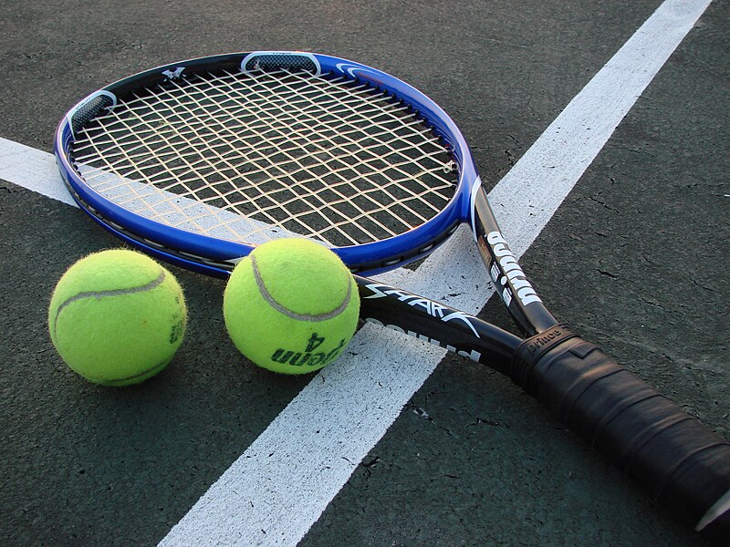 Tennis Racket 
Vladsinger at English Wikipedia, CC BY-SA 3.0, via Wikimedia Commons
